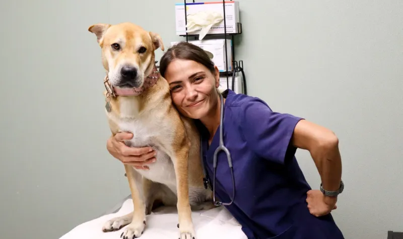 Regular Veterinary Care