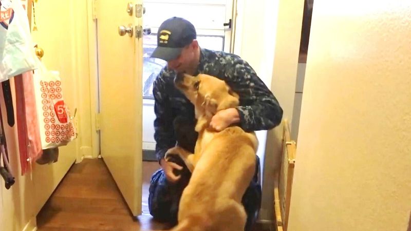 Parting and Reunion