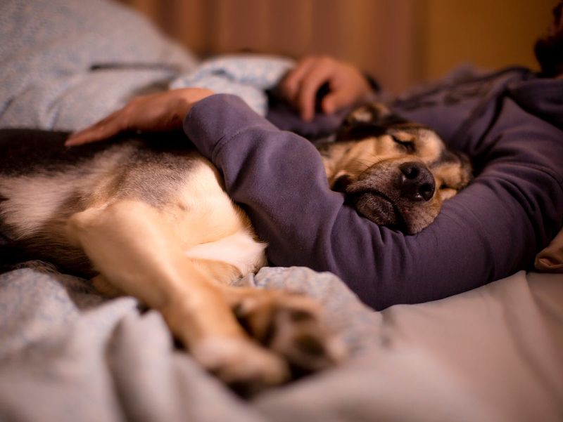 Sleeping Next to You
