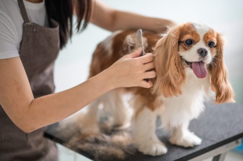 Neglecting Grooming Needs