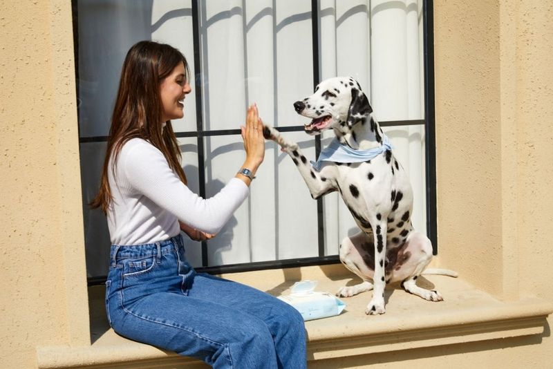 Mirroring Human Behavior