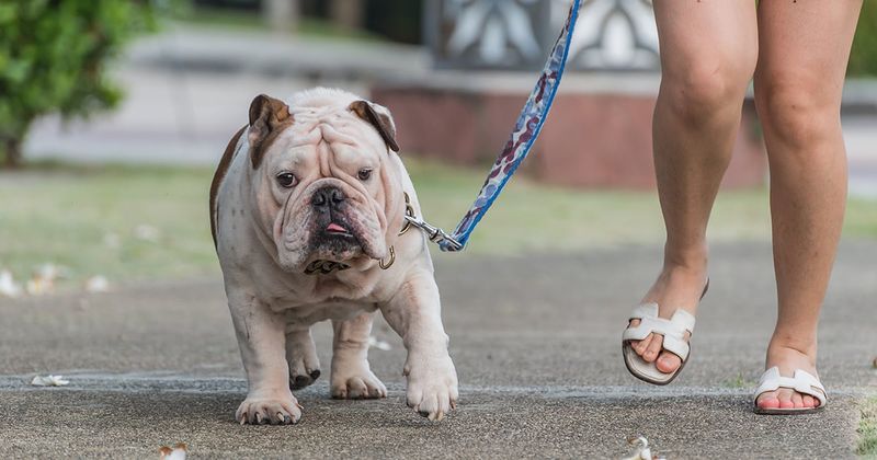 Regret: Skipping Last Walks