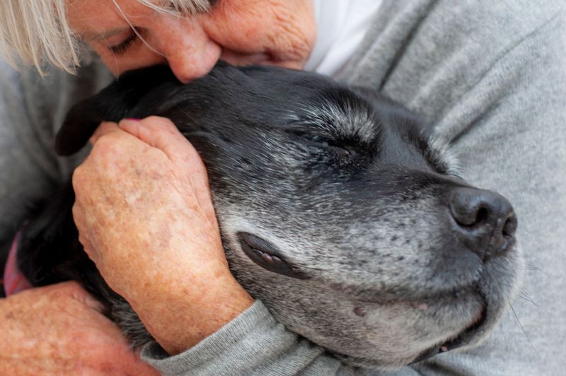 Regret: Delaying Euthanasia