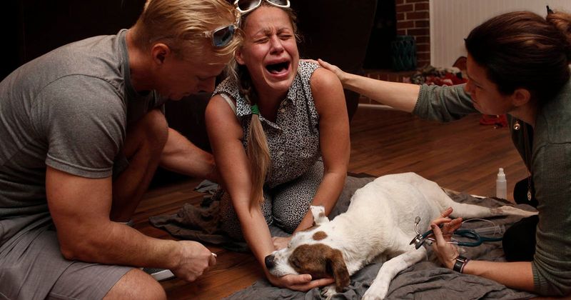 Regret: Holding Back Tears