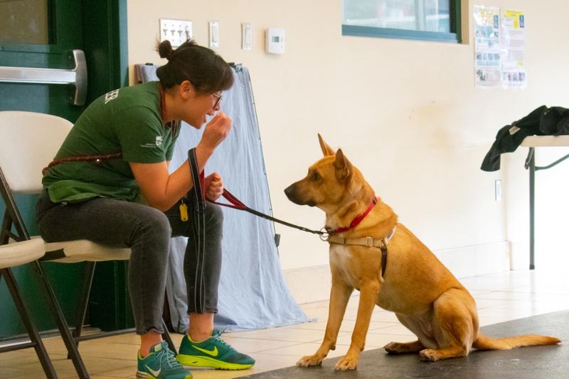Training Sessions