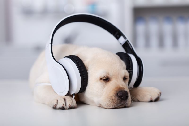 Calming Music