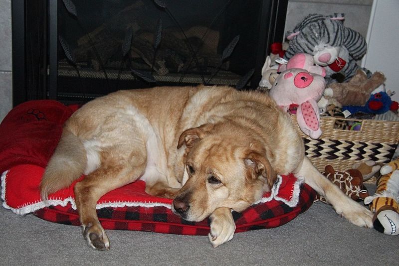 Quality Resting Spaces