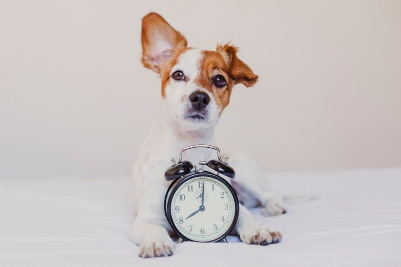 Sense of Time
