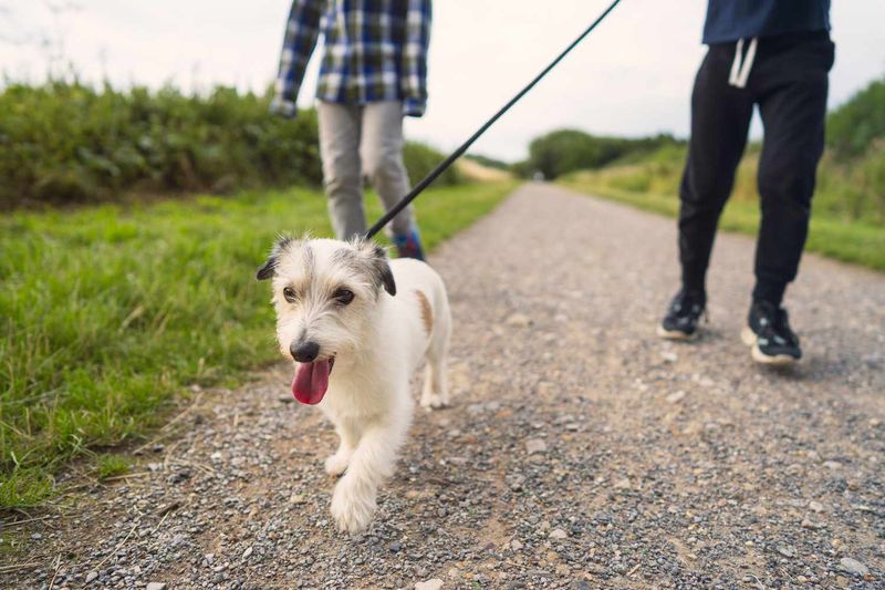 Routine 3: Repetitive Walks