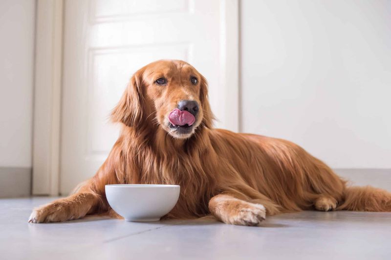 Routine 6: Unvaried Feeding Routine