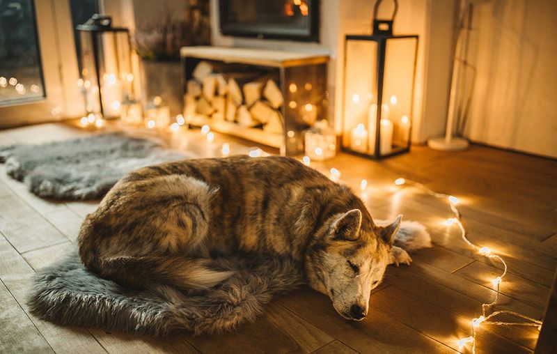 Routine 7: Overlooked Quiet Time