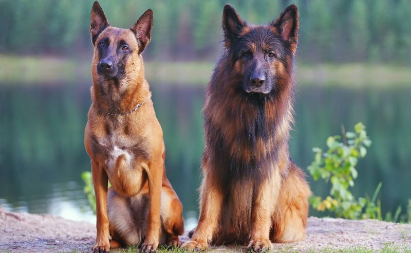 Security and Protection