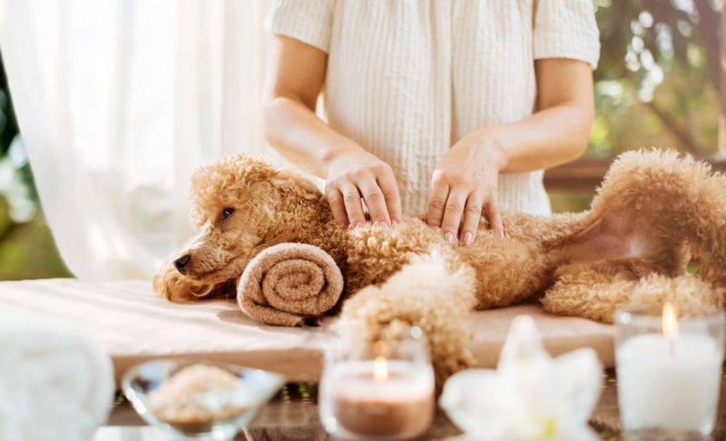 Calm and Comforting Massages