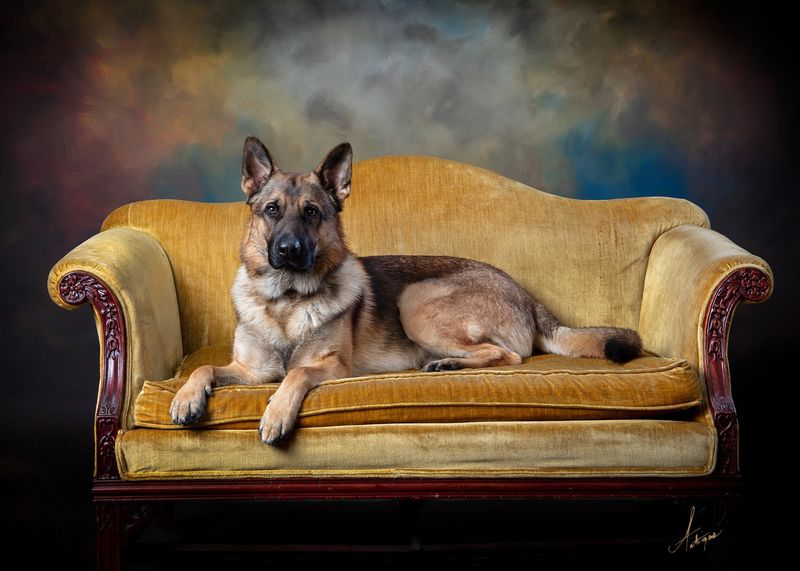 Unwavering Loyalty