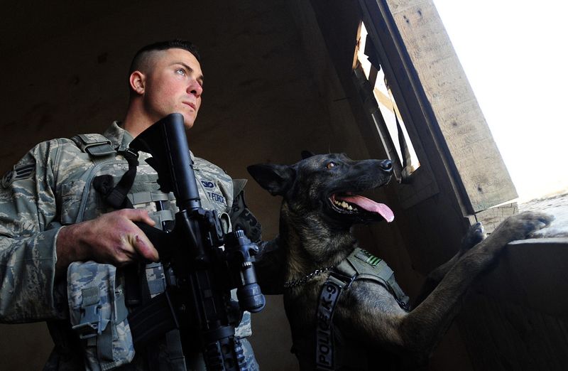 Patrol and Sentry Duty