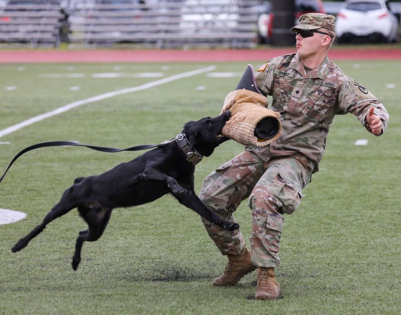 Assistance in Apprehension