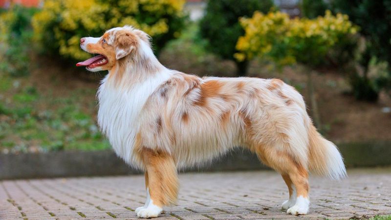Secret 4: The Loyal Protector