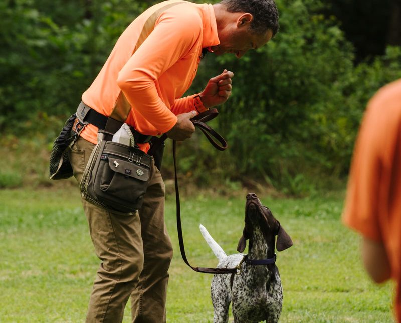 Secret 9: The Right Tools for Training