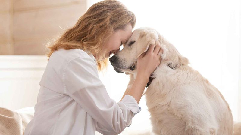 Therapeutic Companionship