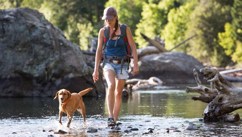 Adventure and Exploration