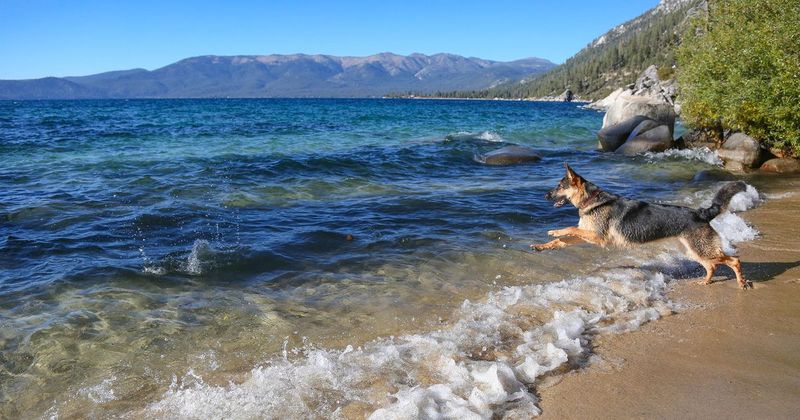 Lake Tahoe, California/Nevada