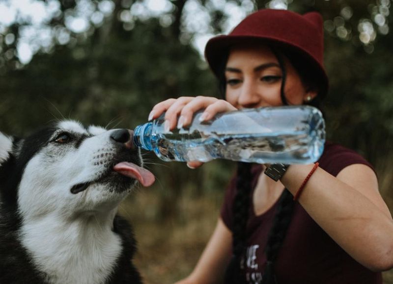 Excessive thirst