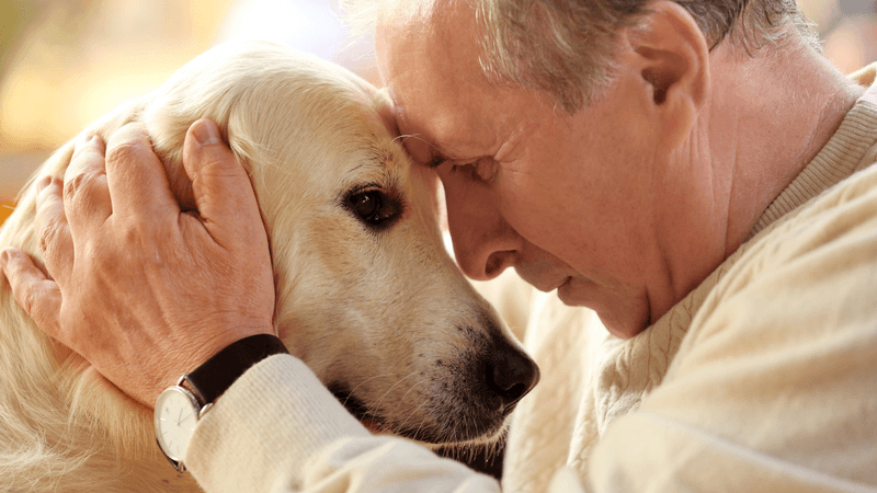 Unconditional Love