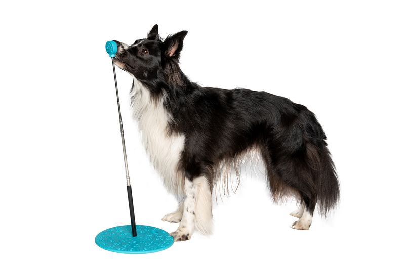 Target Training