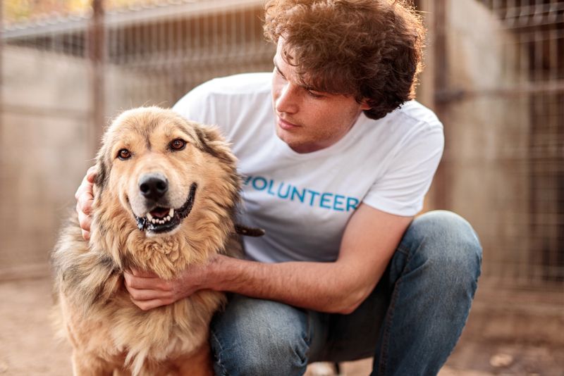 Volunteer Skills