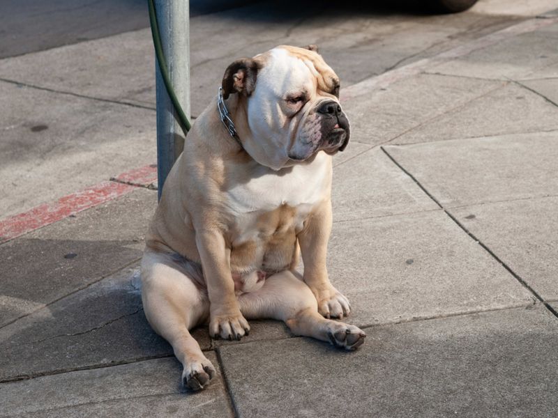 Waiting Patiently