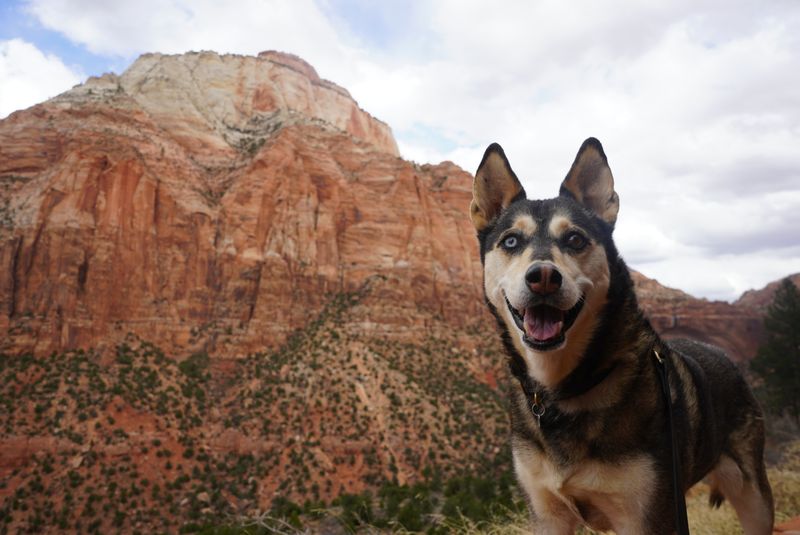 Zion National Park