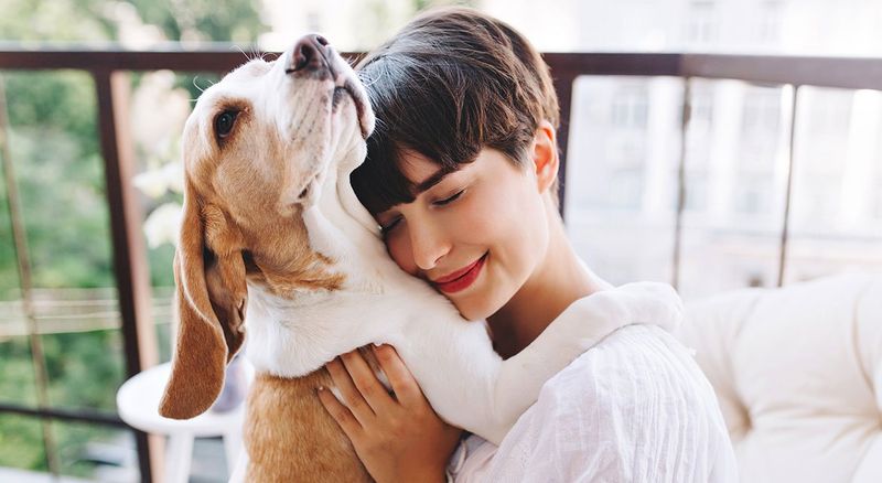 Enhanced Emotional Well-being