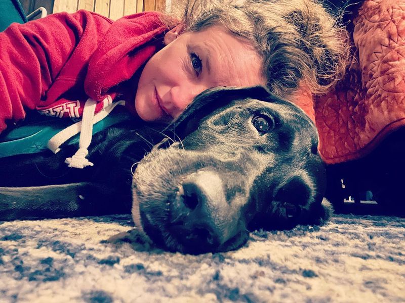 Great Dane