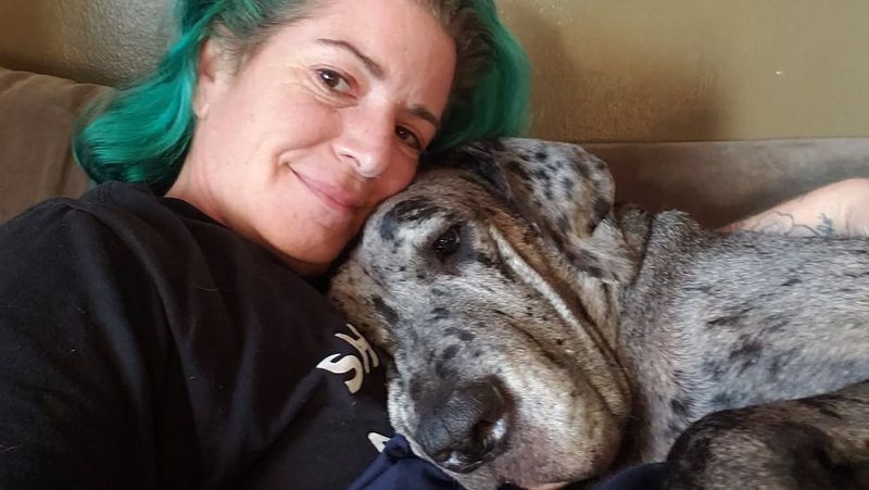 Great Dane