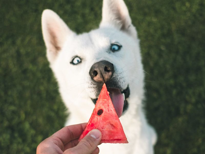 Eating Heartily