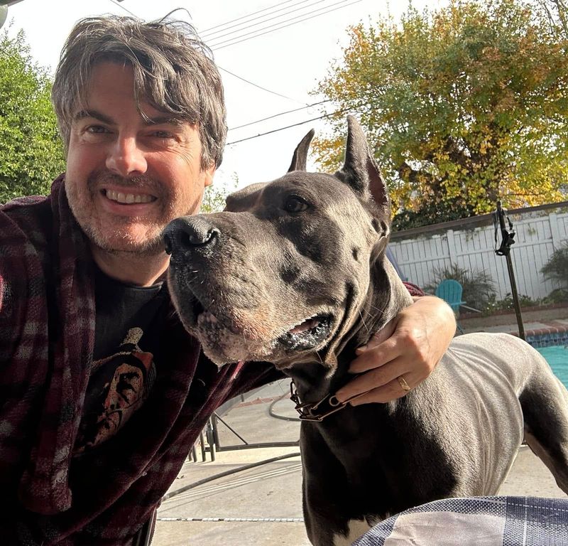 Great Dane