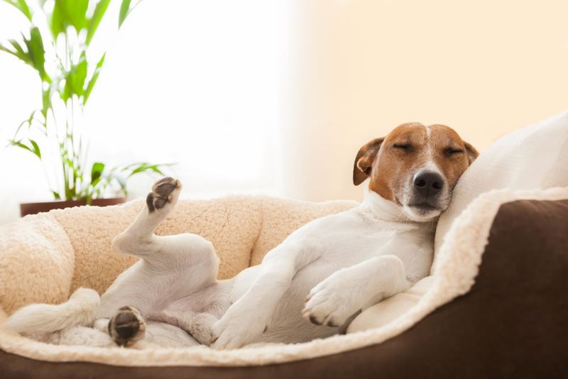Sign 5: Desire for Relaxation