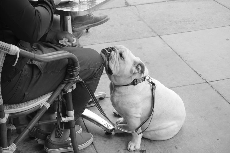 Resting Head on Your Knee