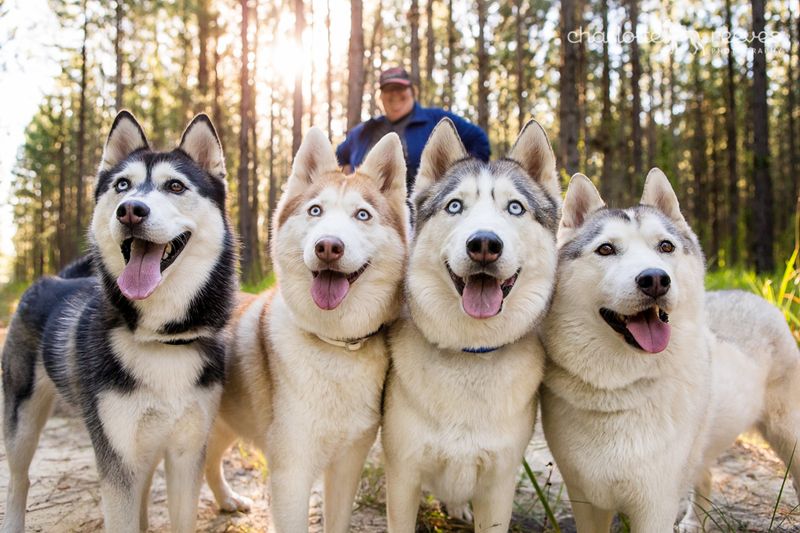 Pack Mentality