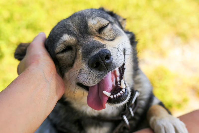 Subtle Smiles