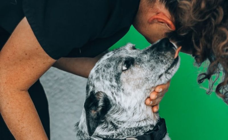 Nose Nudges
