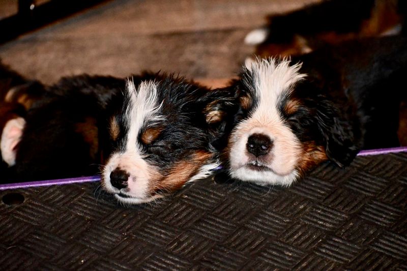 Nap Time Snuggles
