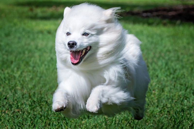 Lively and Energetic