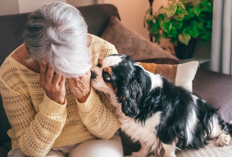Intuitive and Empathetic