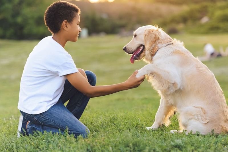 Enhanced Empathy and Patience