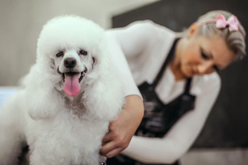 Proper Grooming