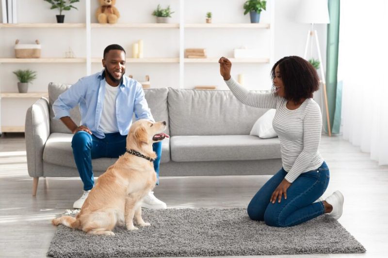 Positive Reinforcement Training