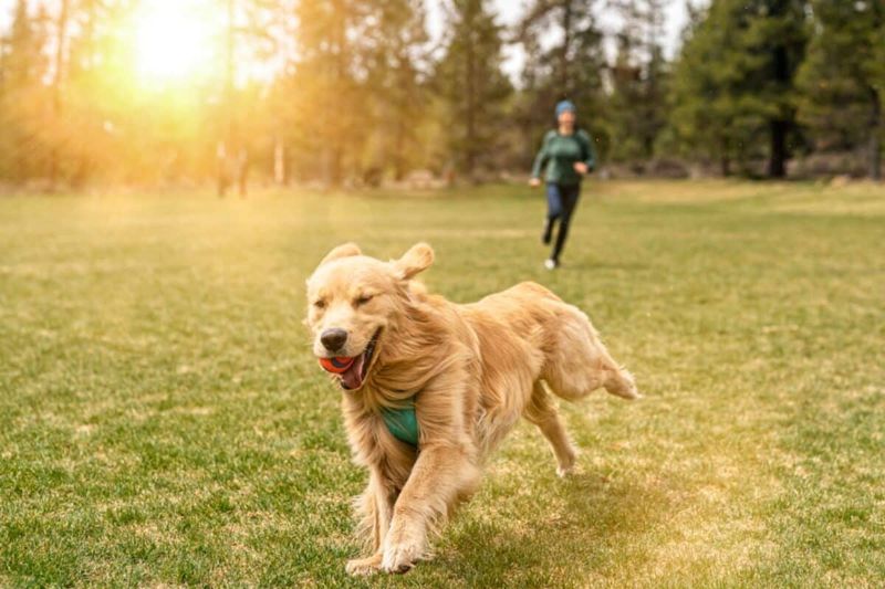 Unexpected Health Benefits