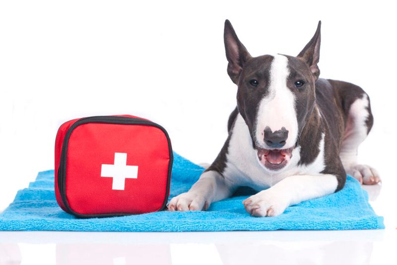 Emergency Preparedness