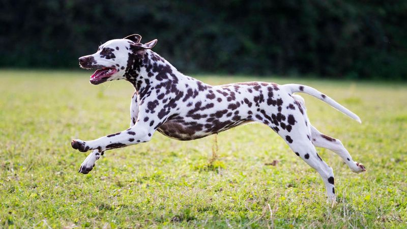 Demanding Exercise Regimen